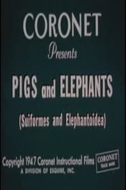 Pigs and Elephants (Suiformes and Elephantoidea) series tv