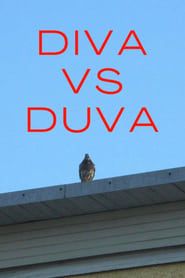 Diva vs. Duva series tv