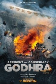 Accident or Conspiracy: Godhra - Chapter 1 series tv