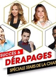 Image Succès Et Dérapages Spécial Stars De La Chanson