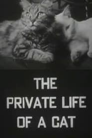 Affiche de The Private Life of a Cat