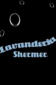 Lavanderia Shermer (2008)