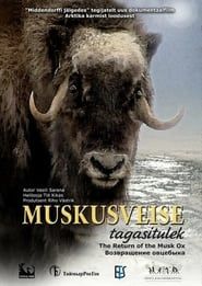 The Return of the Musk Ox series tv