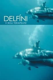 Image Curaçao, des dauphins thérapeutes