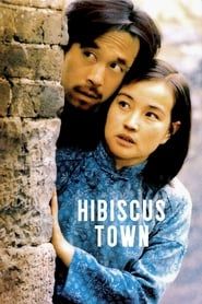 Hibiscus Town series tv