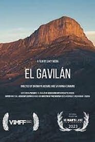 El Gavilan series tv