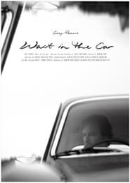 Scott Matthews - Wait in the Car. series tv
