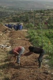 Untold Revolution: Food Sovereignty in Palestine series tv