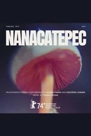 Nanacatepec (2024)