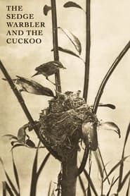Image The Sedge Warbler and the Cuckoo 1911