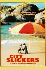 Image City Slickers: A tale of two African penguins