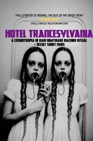Hotel Trancesylvania series tv