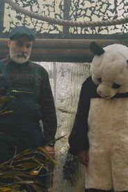 Pandas in Love-hd
