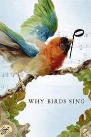 Image Why Birds Sing