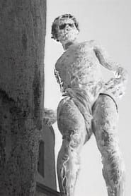 Image Il Mosè di Michelangelo