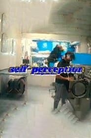 self perception series tv