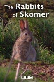 Image The Rabbits of Skomer 2006