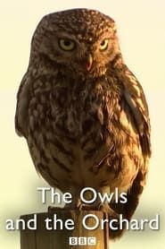 The Owls and the Orchard series tv