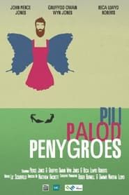 Pili Palod Penygroes (2015)