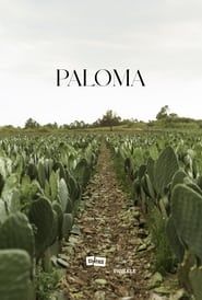 watch Paloma