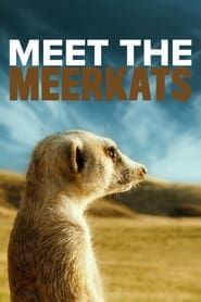 Meet the Meerkats series tv