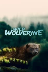 Wild Wolverine series tv