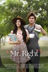 Mr. Right (2023)