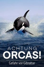 Achtung Orcas! Gefahr vor Gibraltar? series tv