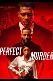 Perfect Murder series tv