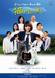 Image Itoshima Movie: Cat's Memory