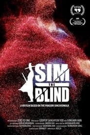Image SIM: the Blind