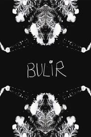 BULIR (2019)