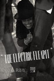 Image The Electric Fleapit
