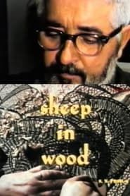 Sheep in Wood series tv
