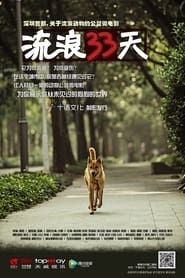 流浪33天 (2013)