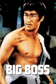 Big Boss (1971)