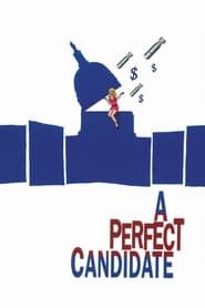 A Perfect Candidate 1996 streaming