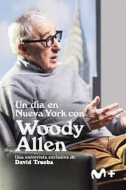 Un día en Nueva York con Woody Allen series tv