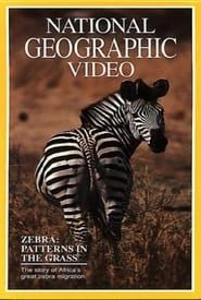 Zebras: Patterns in the Grass series tv