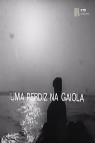 Uma Perdiz na Gaiola (1976)