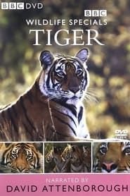 Tiger: The Elusive Princess series tv