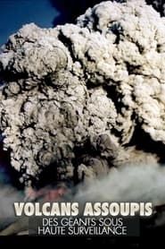 Image Volcans assoupis - Des géants sous haute surveillance 2015