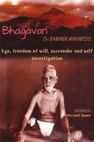 Ego, freedom of will, surrender and self investigation (2024)
