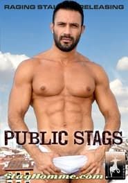 Public Stags (2014)