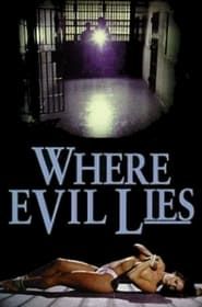 Image Where Evil Lies 1995