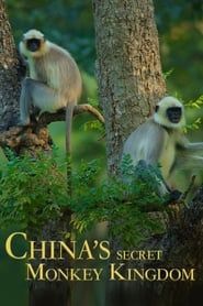 China's Secret Monkey Kingdom series tv