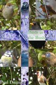 Image Birds in the Bush