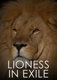 Lioness in Exile (2012)