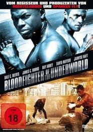 Bloodfighter of the Underworld series tv
