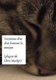 Variations of a cat listening to music (Chris Marker plagiarism) series tv